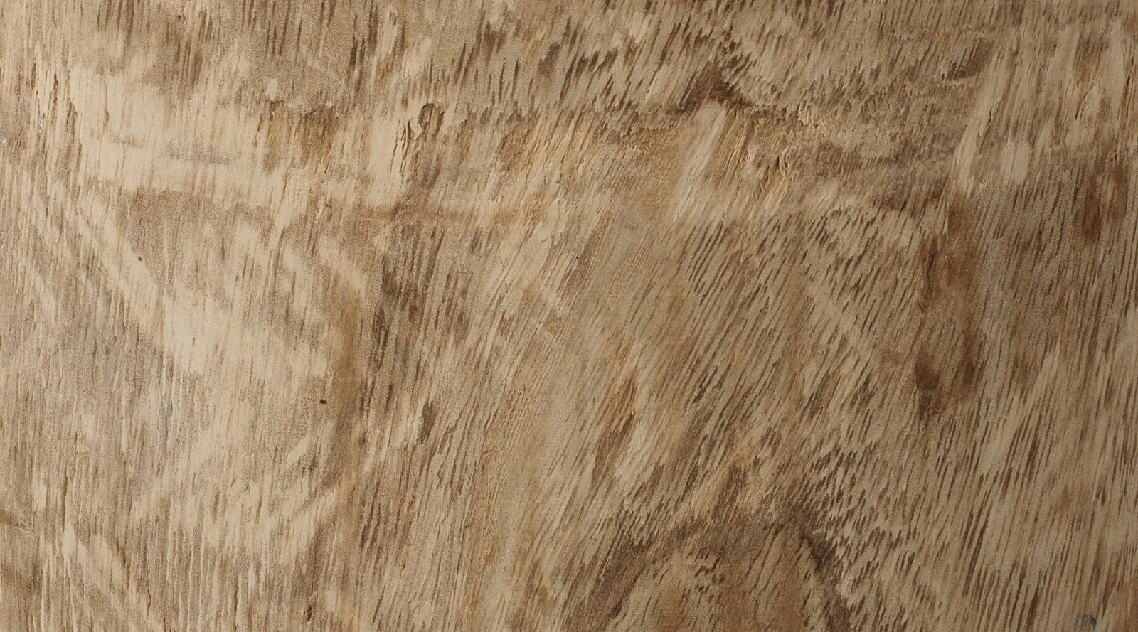 Agave Side Table - Image 5