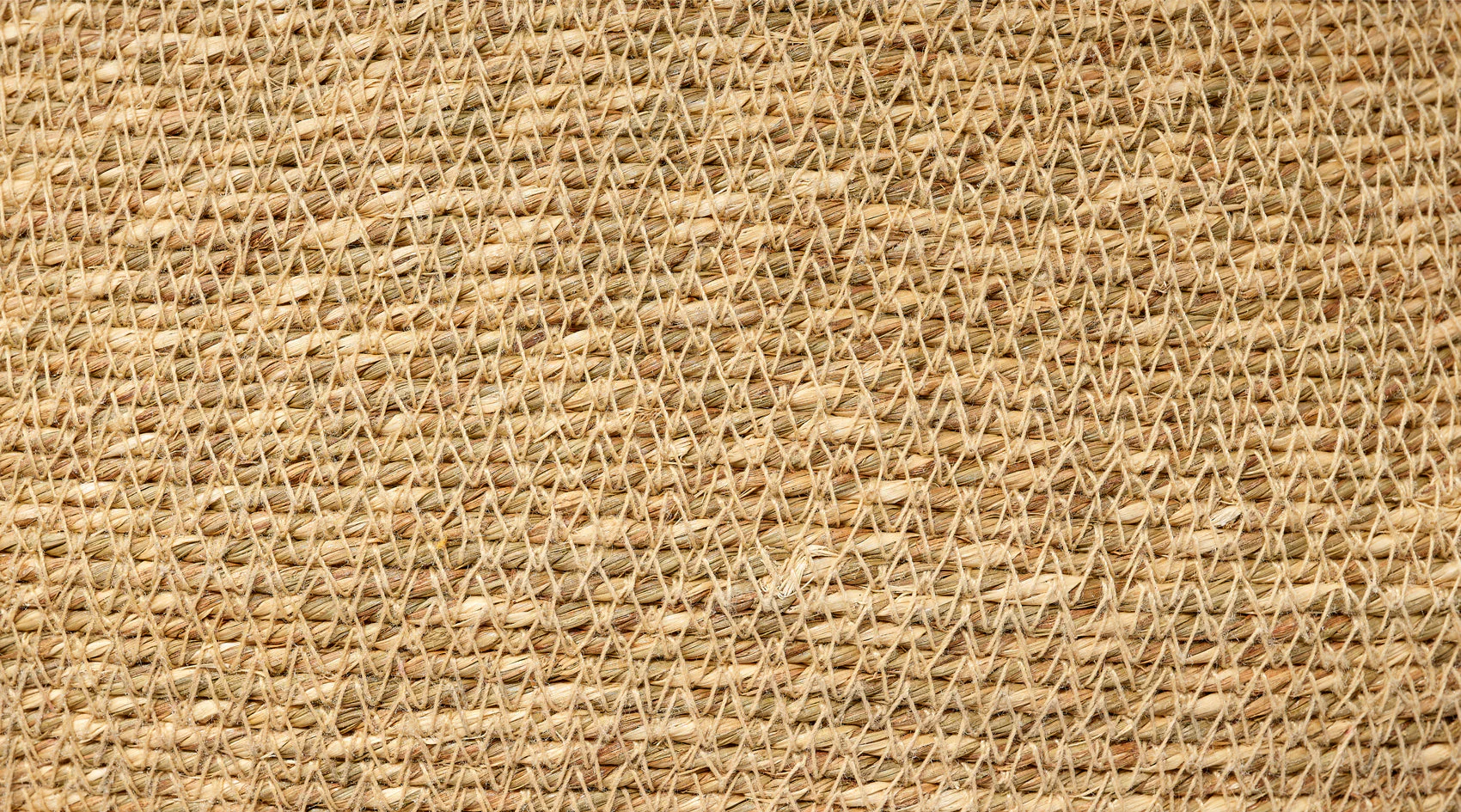 Cobra Basket Set - Image 4