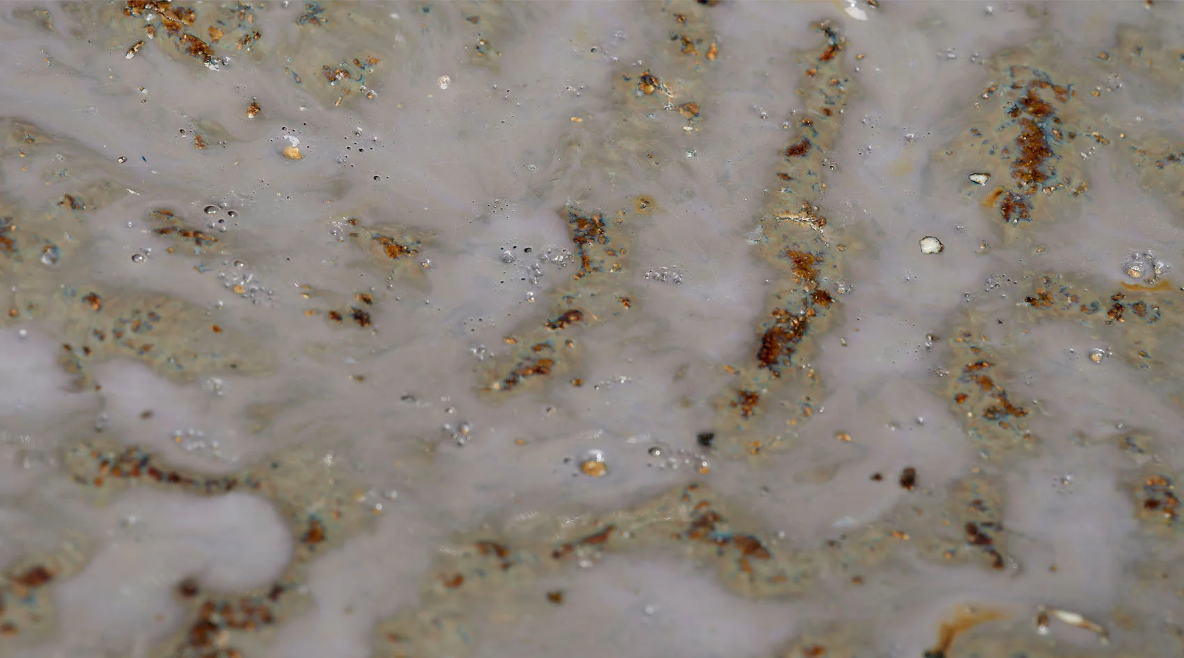 Crustacean Bowl - Image 3