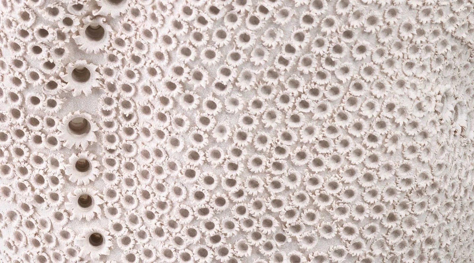 Eclipse Vase - White - Image 4