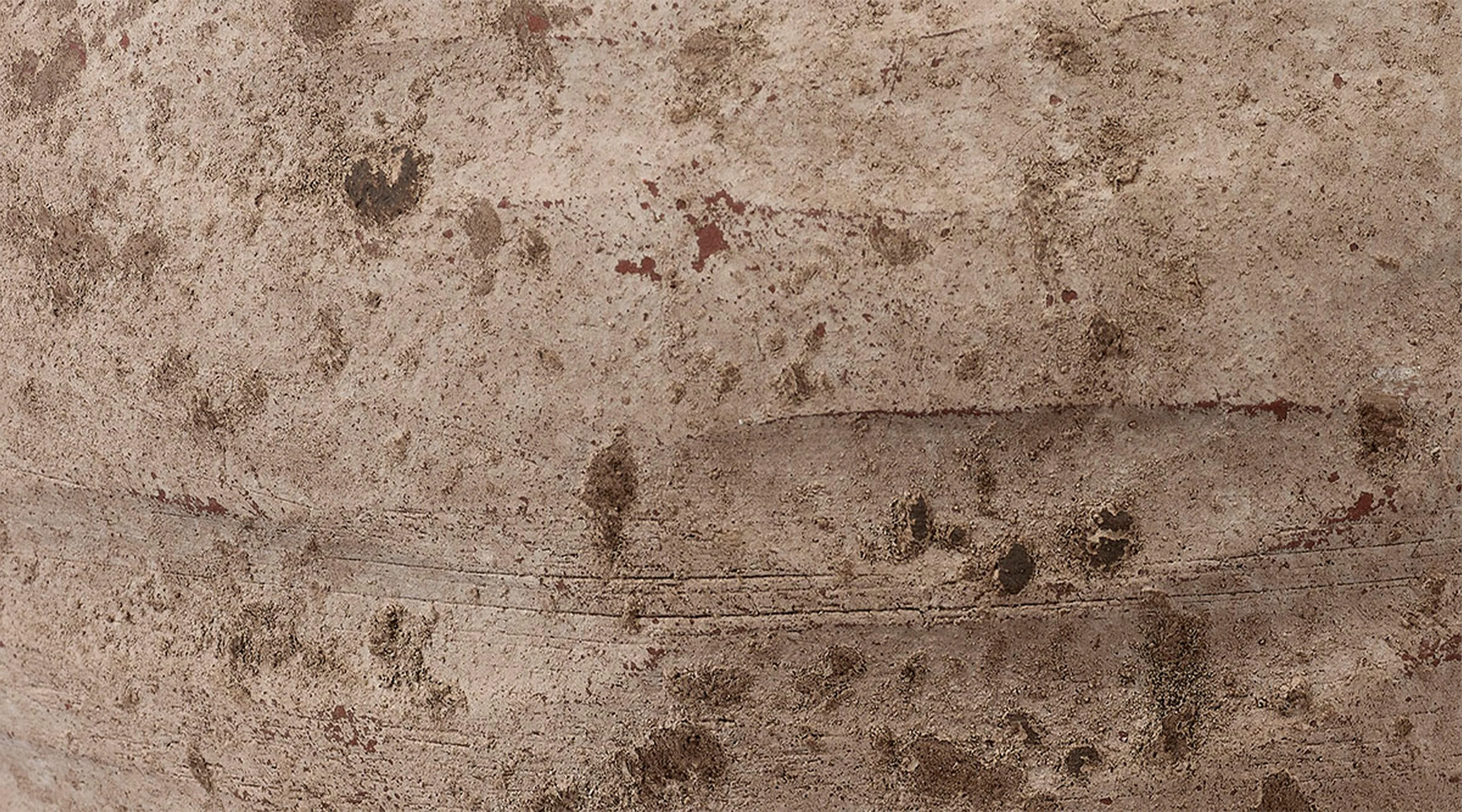 Grove Decorative Vase - Image 4
