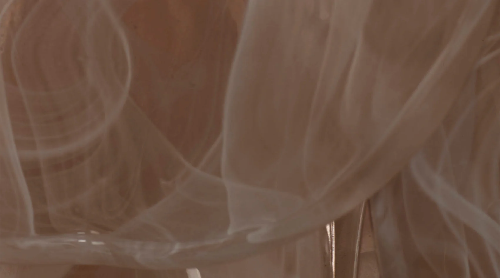 Magnolia Chandelier - Image 7