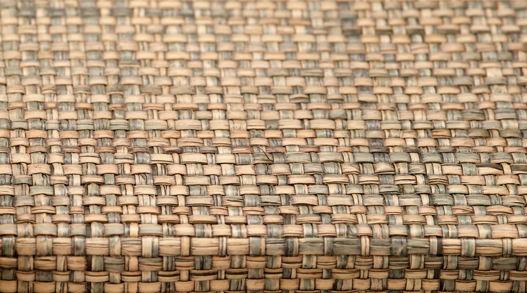 Paradise Bone Tray - Image 4