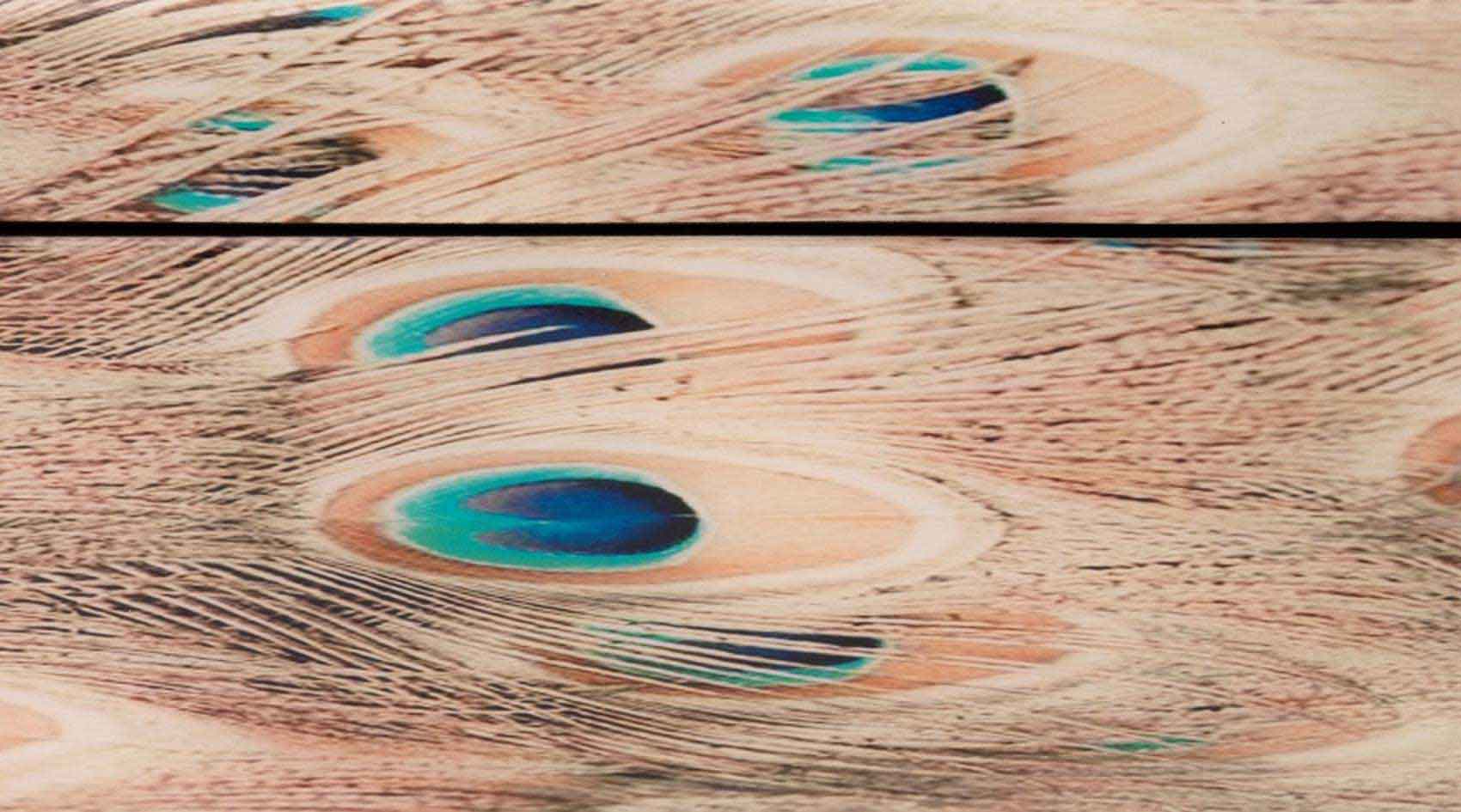 Plume Rectangle Box - Image 6