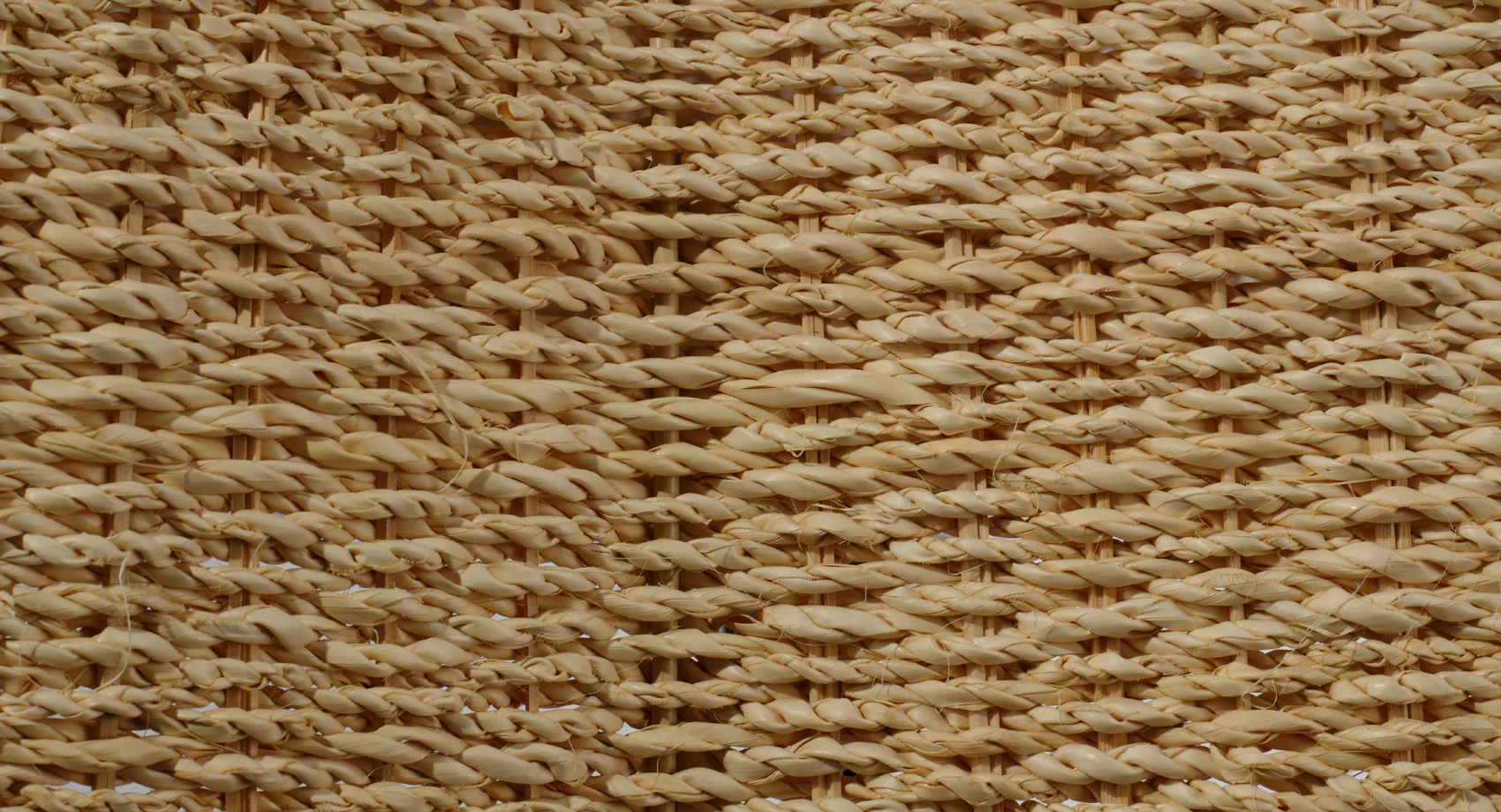 Rosemary Pendant - Image 6