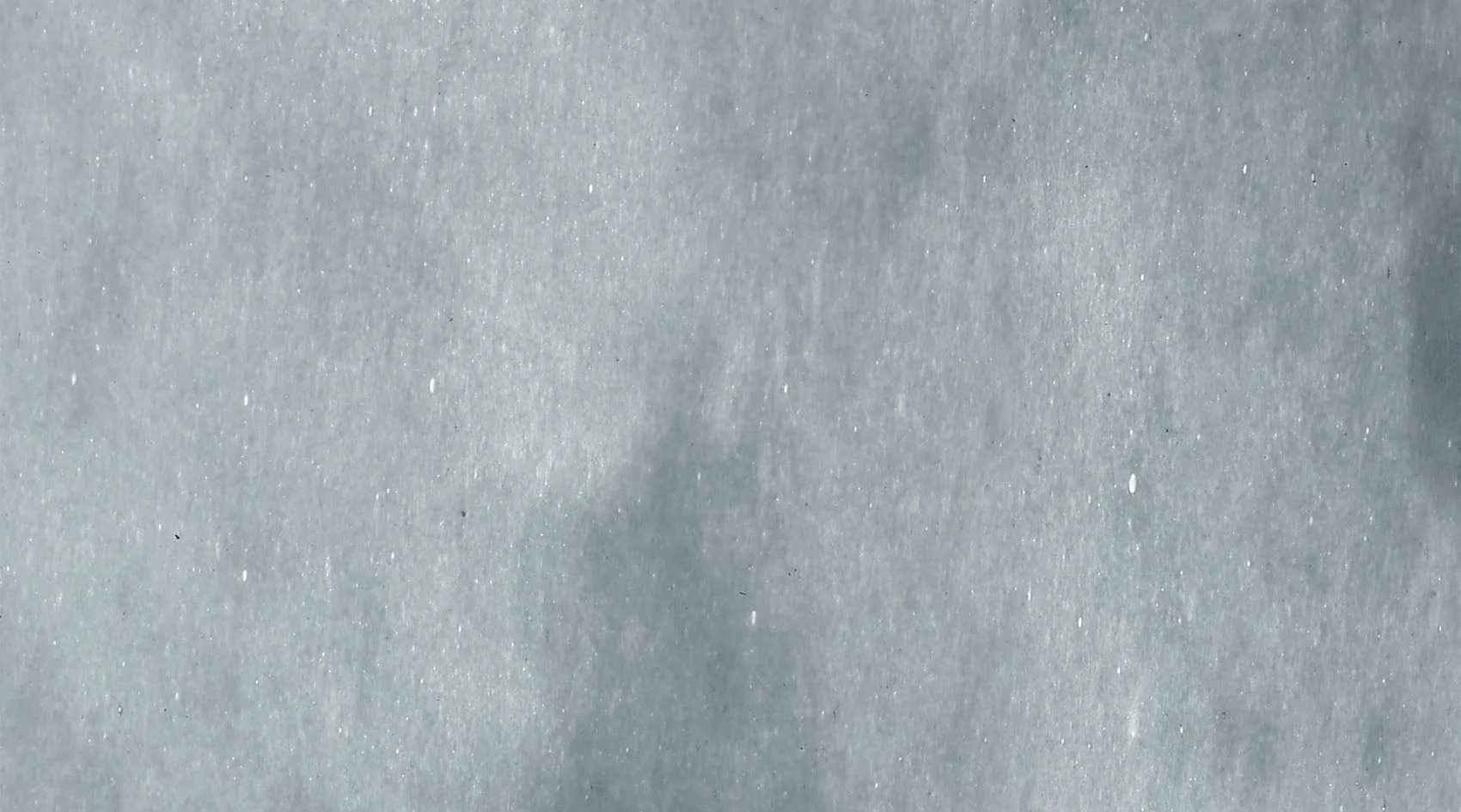 Sequoia Vase - Image 5