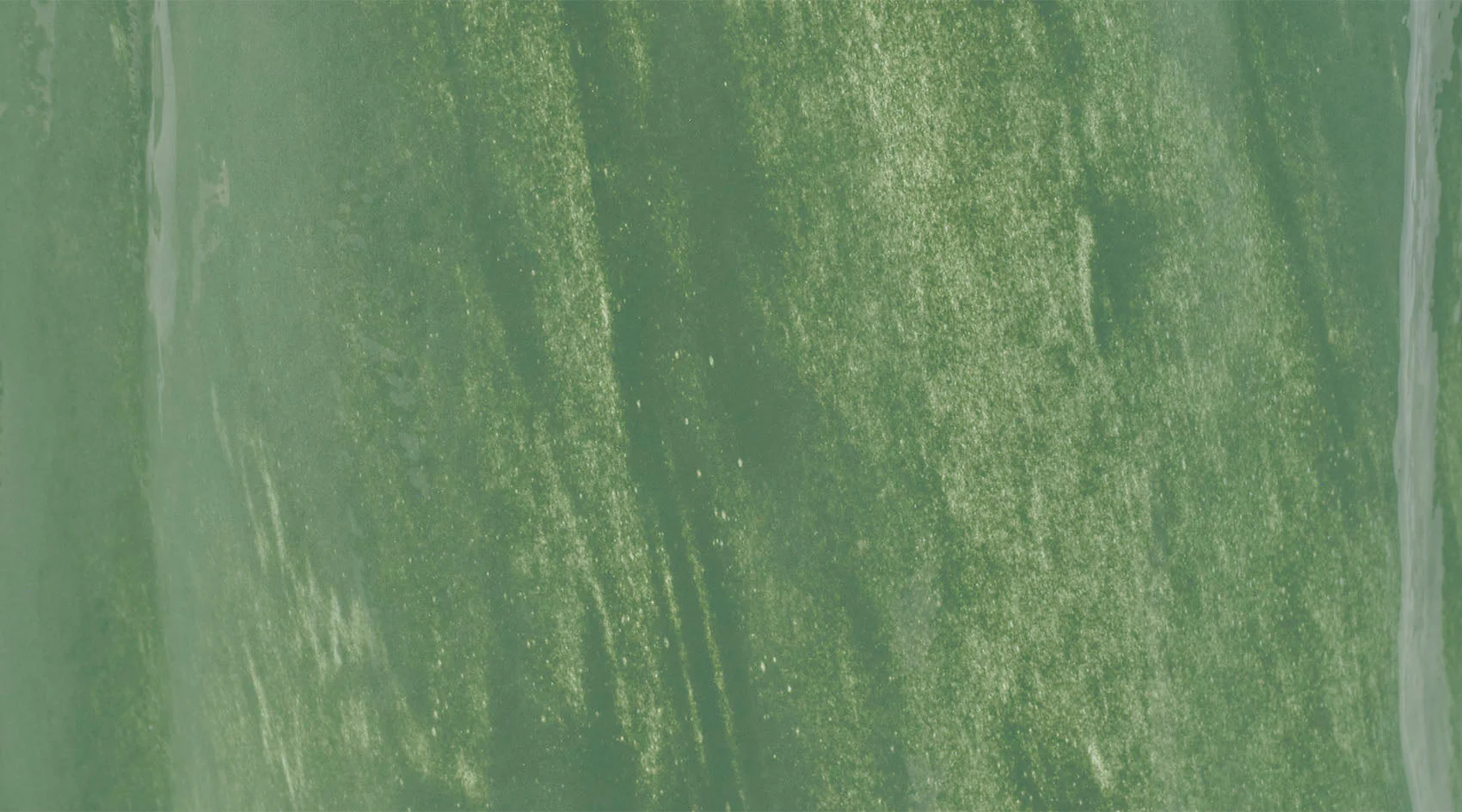 Sequoia Vase - Image 4