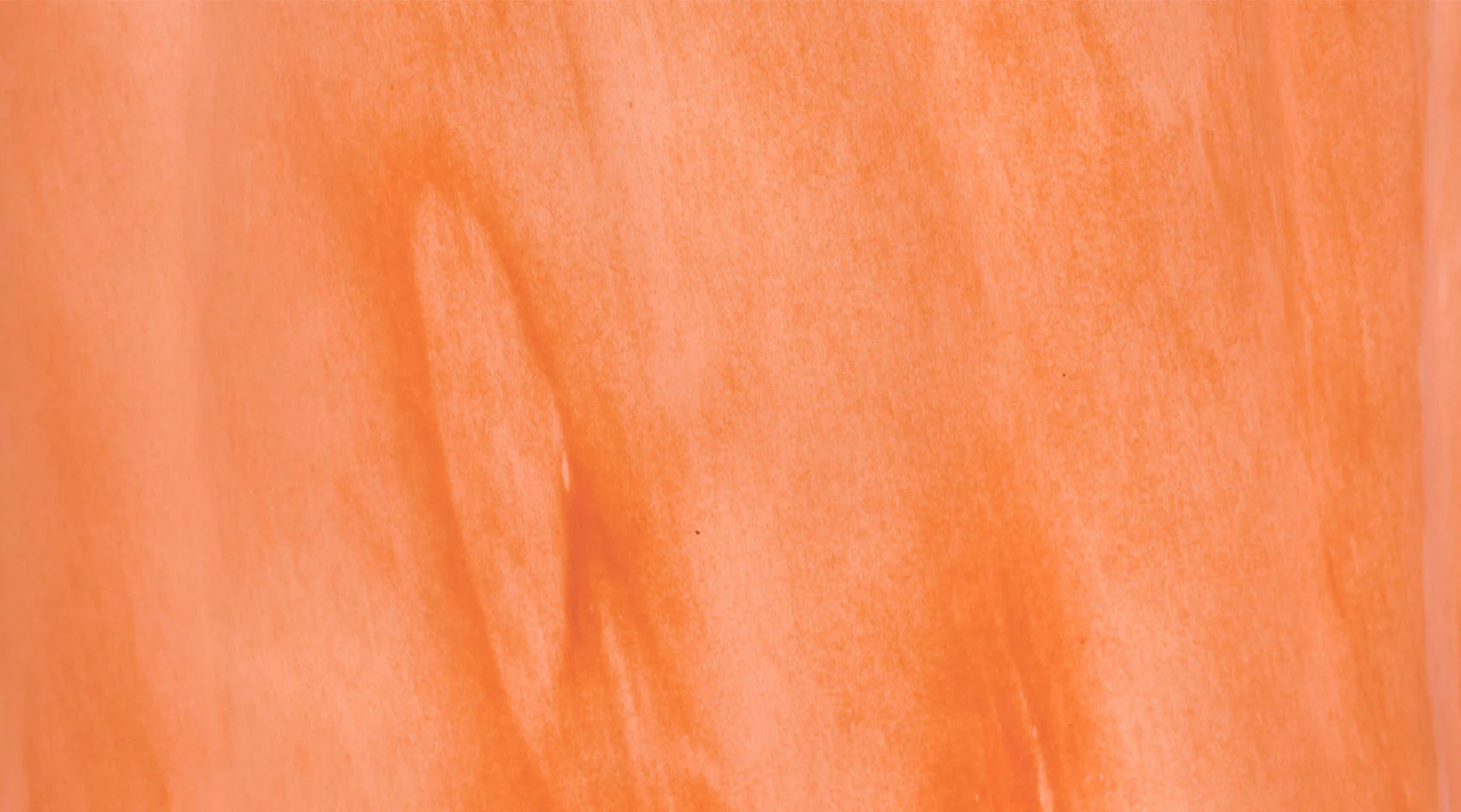 Sequoia Vase - Image 4
