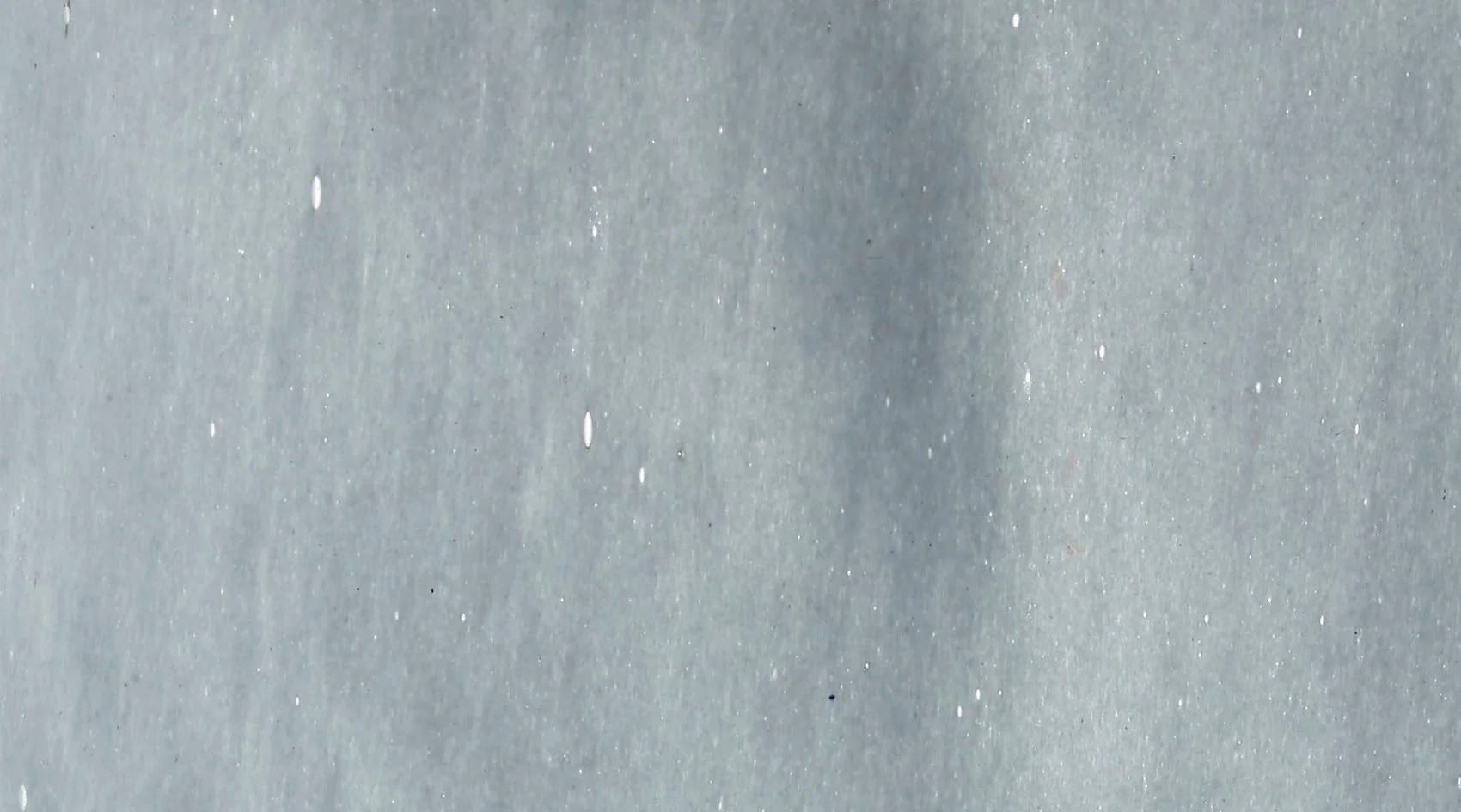 Sequoia Vase - Image 5