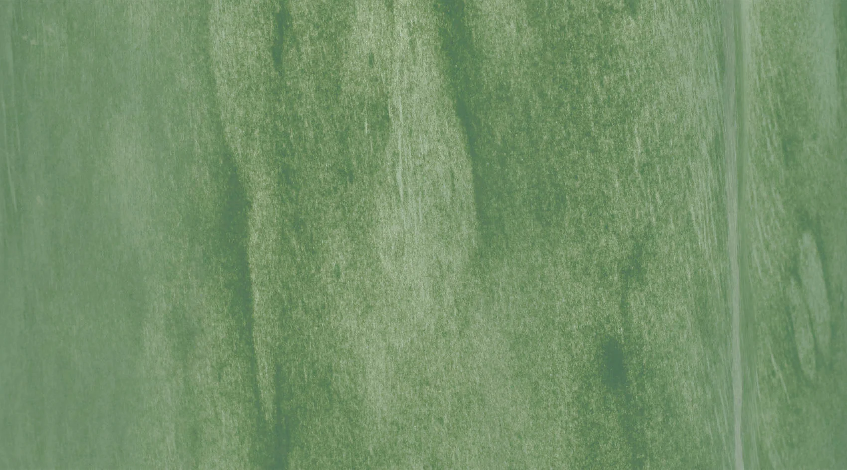 Sequoia Vase - Image 4