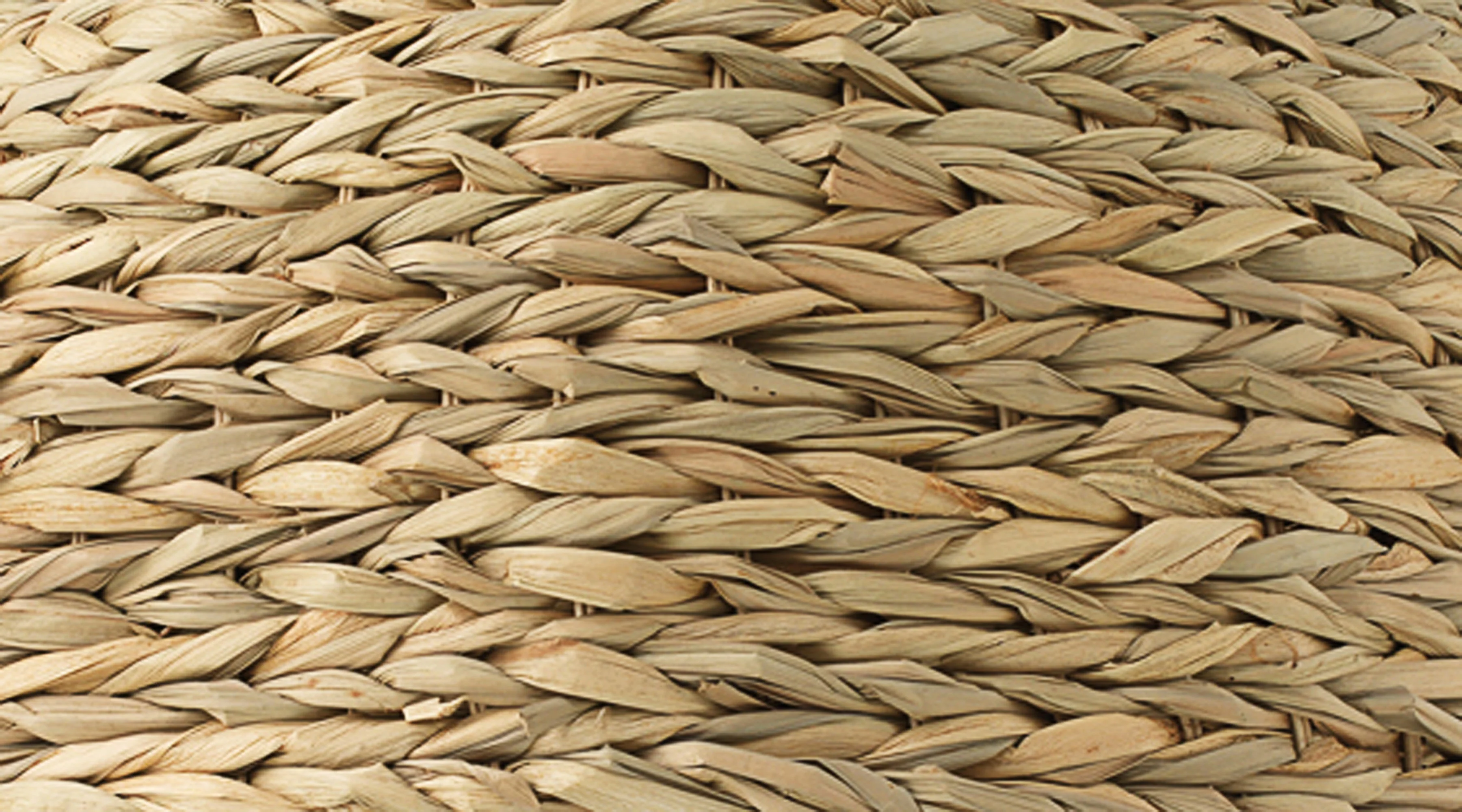 Shoreline Pendant - Image 4