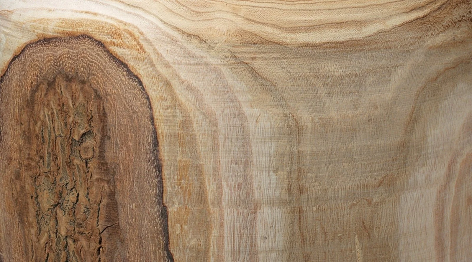 Topanga Wood Vase - Image 5