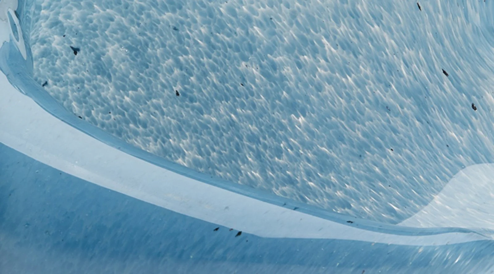 Triton Shell - Steel Blue - Image 6