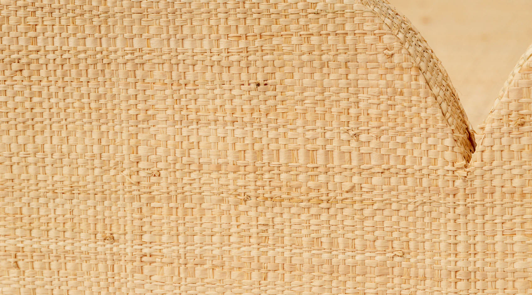 Wonderland Scalloped Tray - Image 4